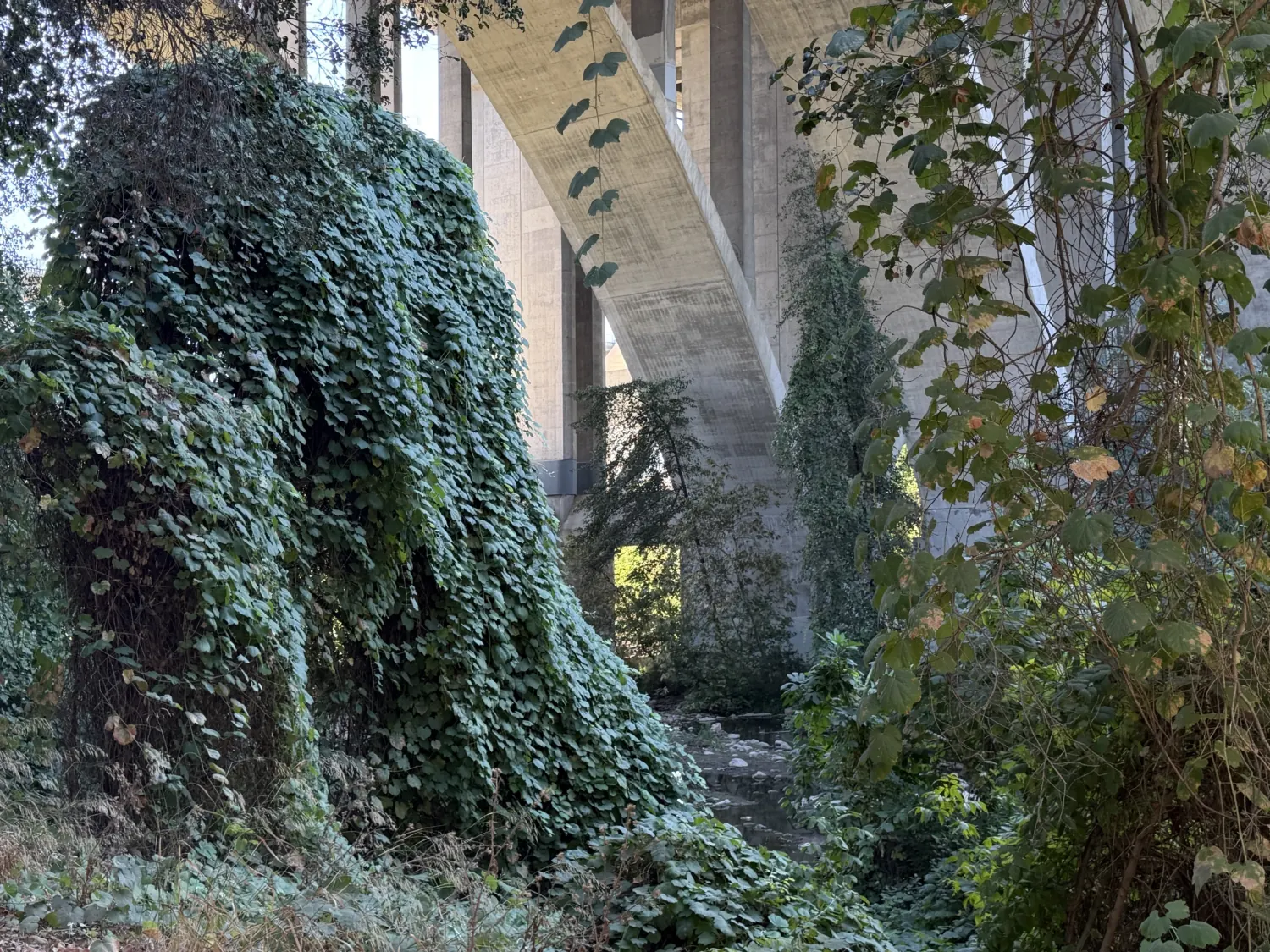 Under the bridge